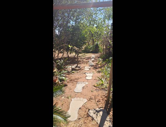 200HA FARM FOR SALE IN PRIMINDIA